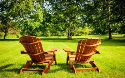6 Tips to Care for Trees at Home