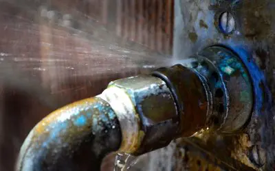 Don’t Ignore the Drip: Spotting Common Plumbing Problems