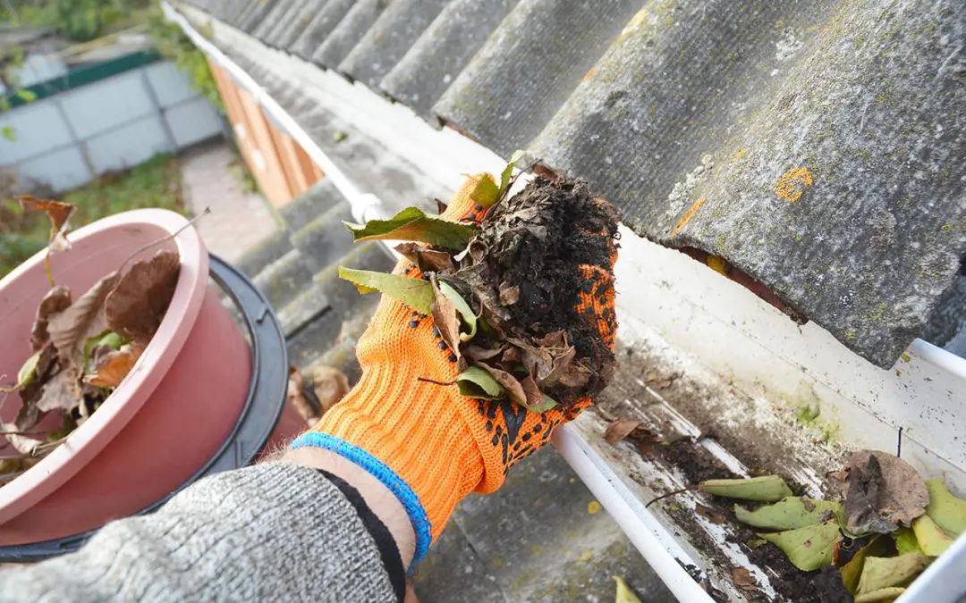 Exterior Home Maintenance: Essential Tips to Protect and Preserve Your Home