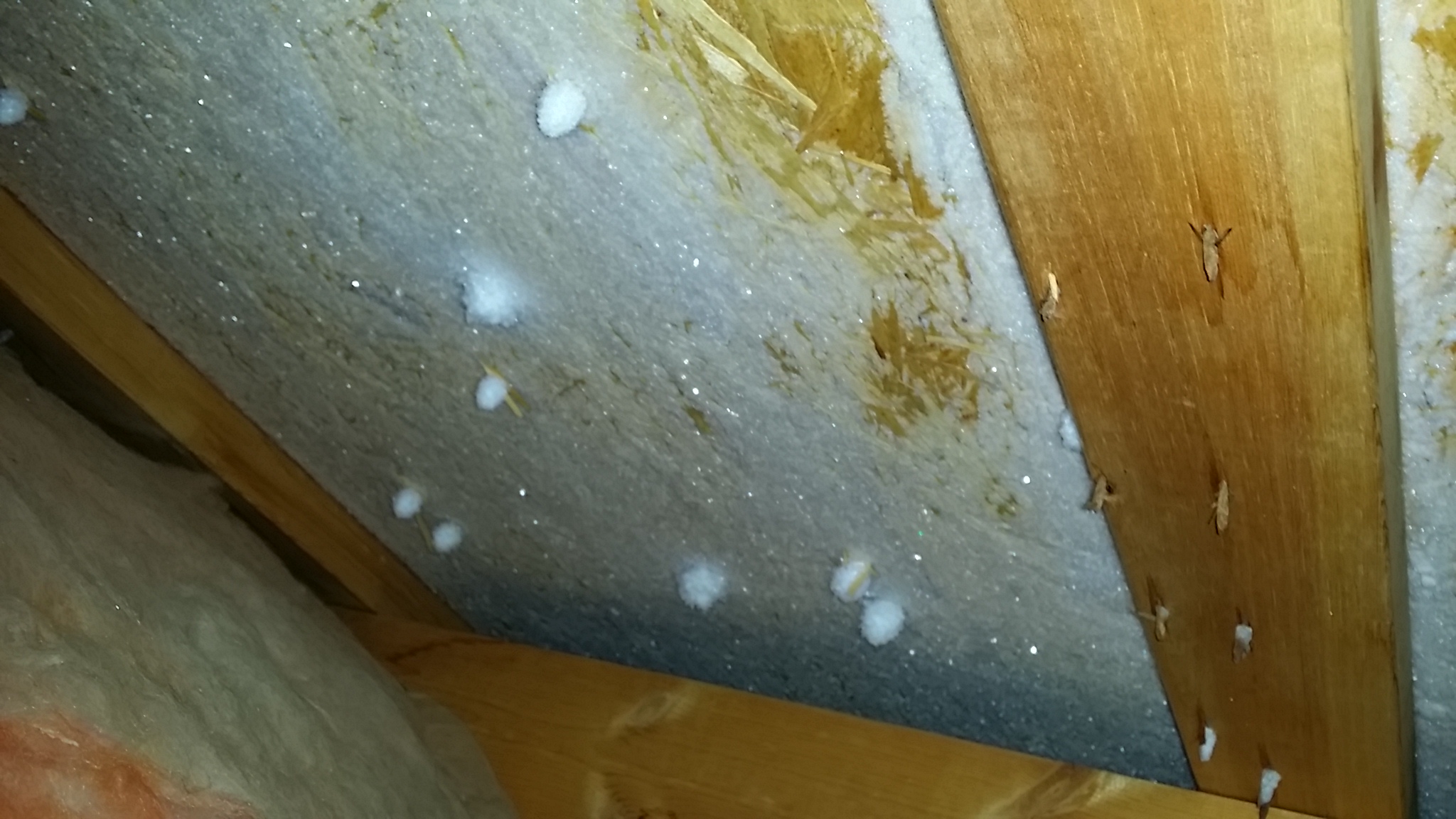 Frost in ceiling