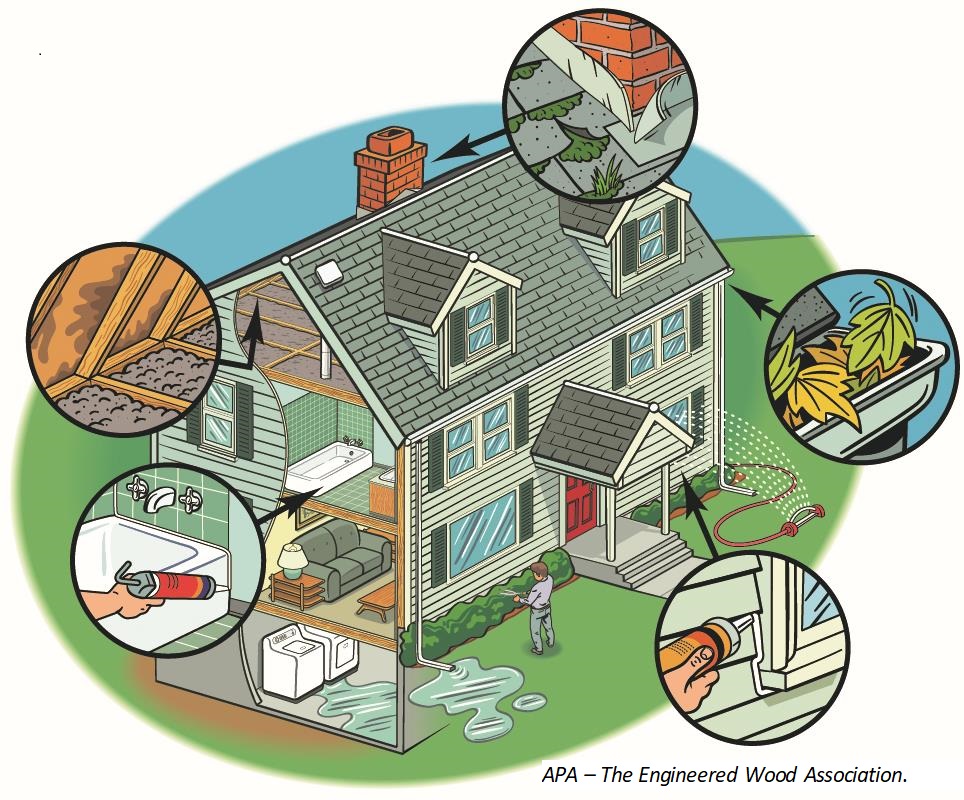 Illustration of a house with circles showing close-ups of specific mold inspection services