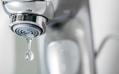 Top 7 Signs of Plumbing Problems at Home