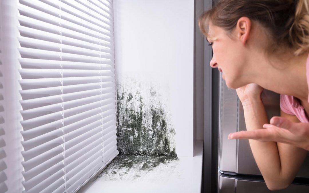 odors in the home