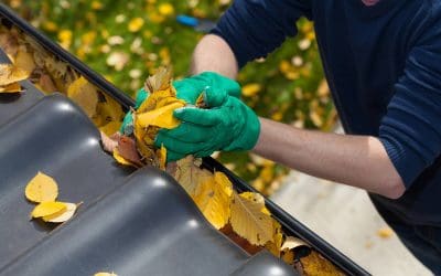 How to Clean Your Gutters: A Homeowner’s Guide